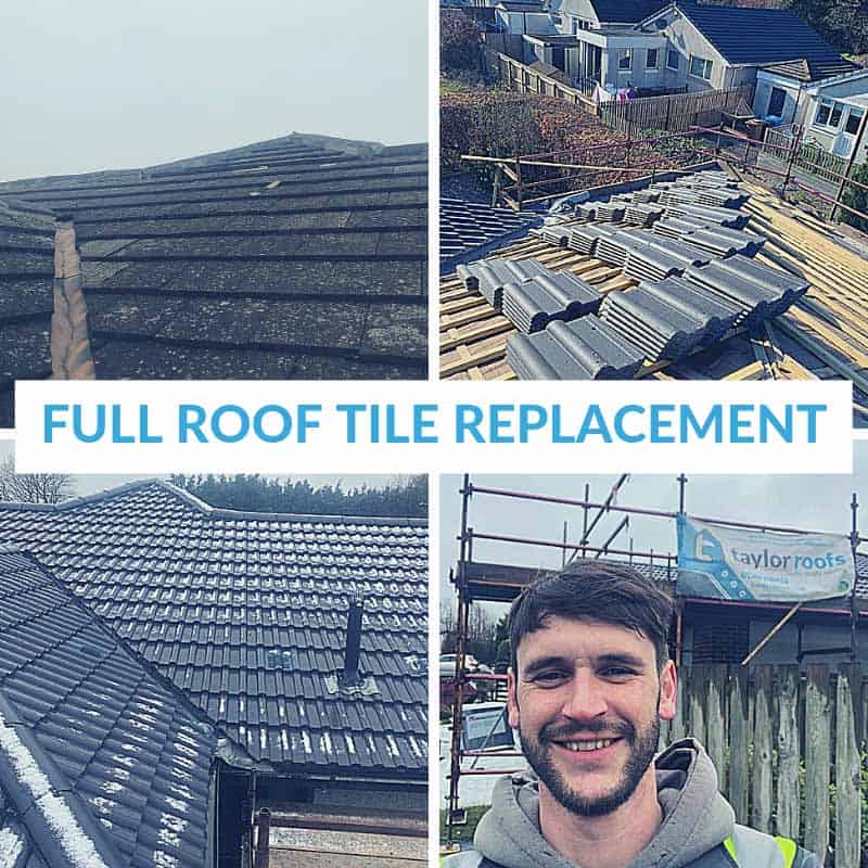 Roof Replacement - Case Study 2